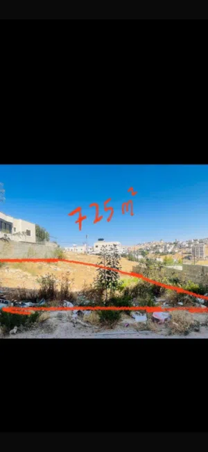 Mixed Use Land for Sale in Bethlehem Dar Salah
