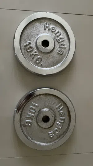 10 KG Plates for Home Gym