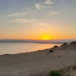 علاء 