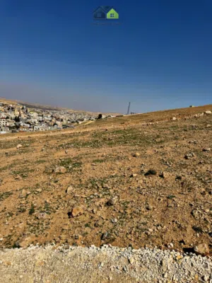 Residential Land for Sale in Zarqa Abu Al-Zighan