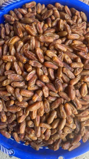 سح برني للبيع