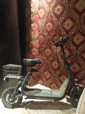 سكوتر كهربائي