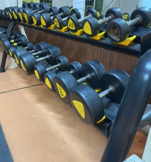 للبيع دنامبلز