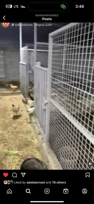 ‏30 م٢ ‏.‏ الوسيط‏0