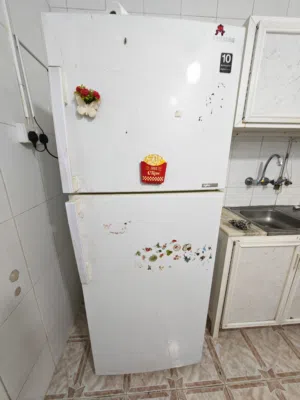 Samsung fridge sale