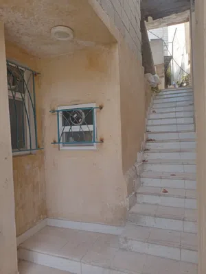 احمدمحمد الكيالي 