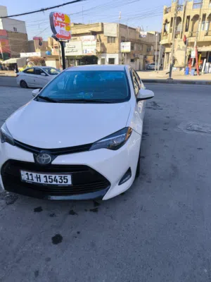 كورلا 2019