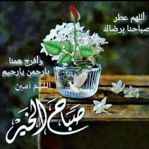 خالد احمد