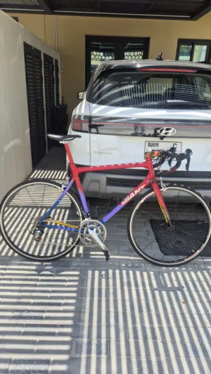 Giant SCR roadbike (shimano tiagra)