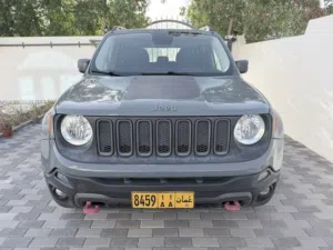 Jeep renegade 2016 trail hawk