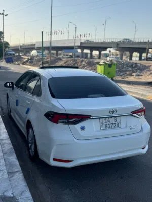 Used Toyota Corolla in Basra