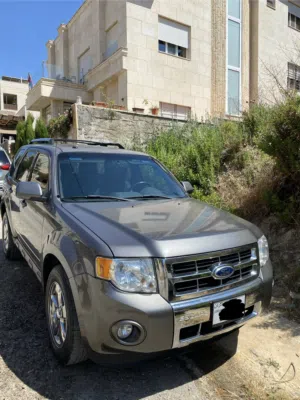 Used Ford Escape in Amman