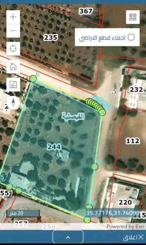 Farm Land for Sale in Madaba Al-Faisaliyyah