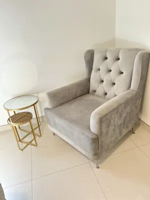 Velvet sofa