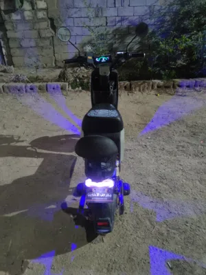 منتظر البصرواي