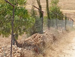 Farm Land for Sale in Mafraq Bala'ama