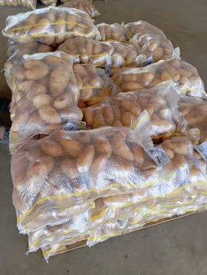 ‏خضار وفواكه‏4