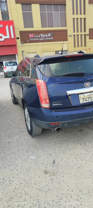 جيب كدلك حجم وسط srx4