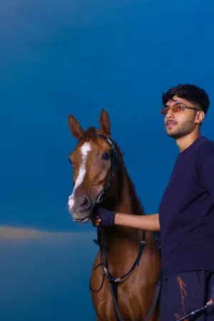 بيع حصان عربي اصيل من سلالة فاخرة
