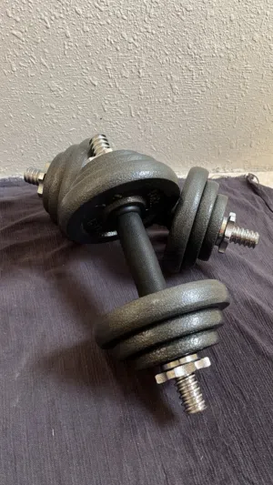 دامبلز 20 كيلو