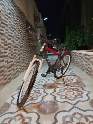 بسكاليت البيع 50دينار