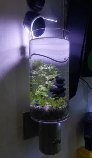 Cylinder Aquarium