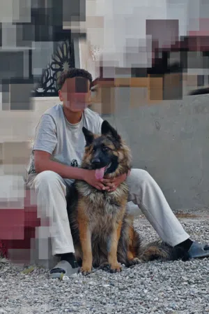 كلب كستم لونج هير شراسه ربي يبارك اوامر قعمز اوو لاا بس