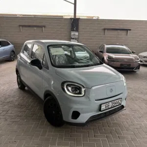 2024 Leapmotor T03 EV zero