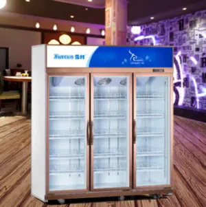 ثلاجات سنو فلج العالمية