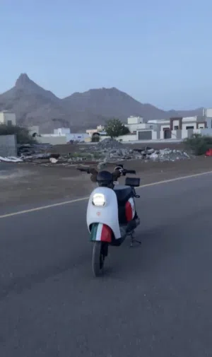 سكوتر كهربائي نوع مميز