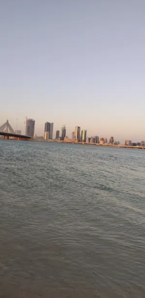 عادل العتيلي