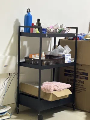 Storage trolly