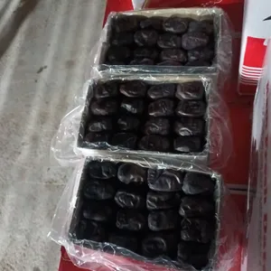 Dates0