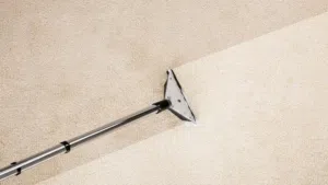 Deep Carpet & Sofa cleaning services Massage me for more details