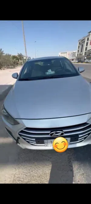 افانتي وارد كوري