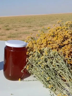 عسل النحل البلدي إنتاج مناحل وعسل رياض الجنة