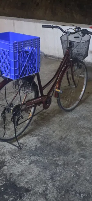 سيكل للبيع
