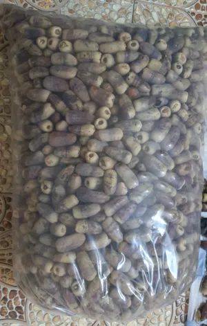 تمر نغال جريجرو