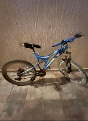 بشكليطه للبيع رقم 28 السعر 300