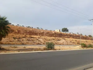 ارض مميزة للبيع  بالقرب من جامعة اربد الأهلية