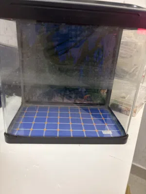 Fish tanks