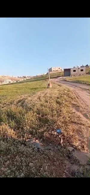 9 قطع أراضي للبيع الزرقاء جريبا جوفة ذياب