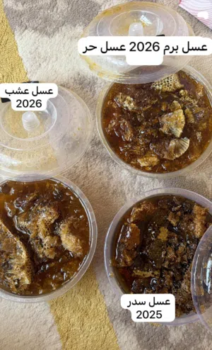 عسل بو طويق حر