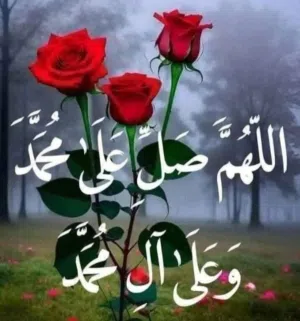 مطلوب جاملغ سنتا في ابيض 12