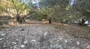 فرصة لا تعوض ارض زراعية سكنية تجارية للبيع