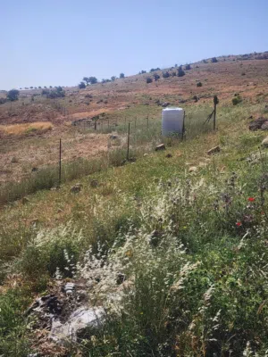 Farm Land for Sale in Mafraq Al-Dajaniya