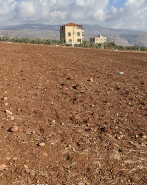 Farm Land for Sale in Salt Al Subeihi