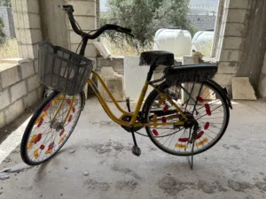 فليبس ياباني اصلي
