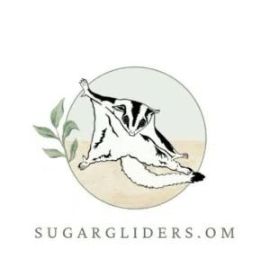 sugargliders 