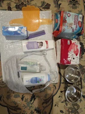 ادوات للكلاب